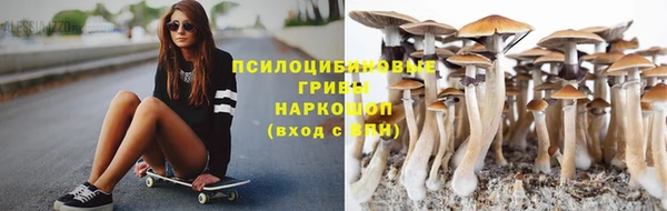 индика Аркадак