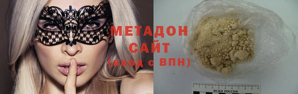 индика Аркадак