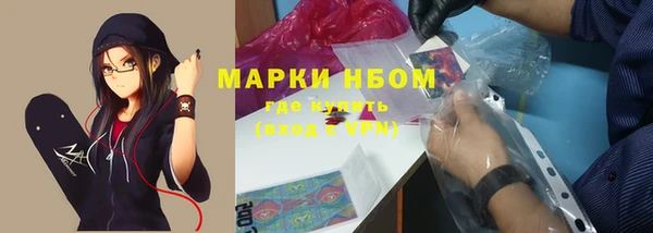 индика Аркадак