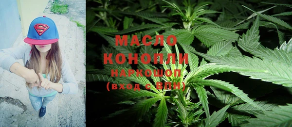 индика Аркадак