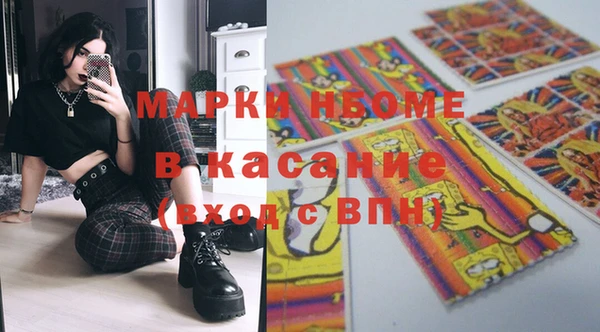 индика Аркадак