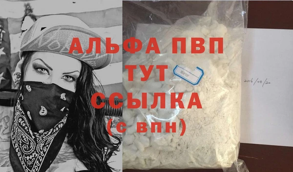 индика Аркадак