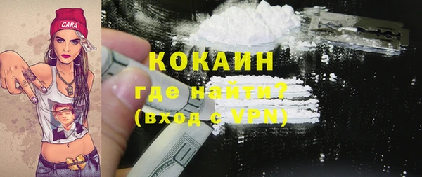 индика Аркадак