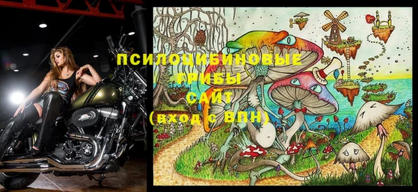 индика Аркадак