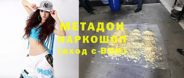 индика Аркадак